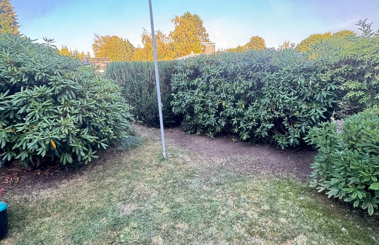 Garten vor den Pflegearbeiten